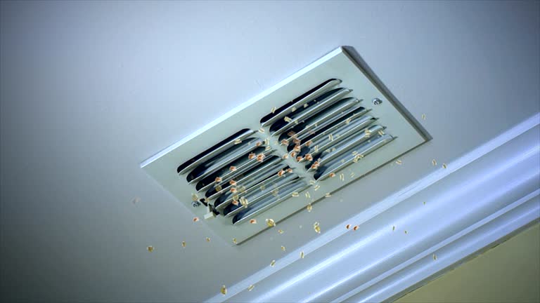 Best Air Duct Cleaning Near Me  in Troy, TX