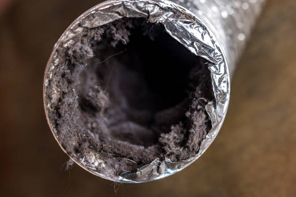 Best Air Duct Cleaning Near Me  in Troy, TX