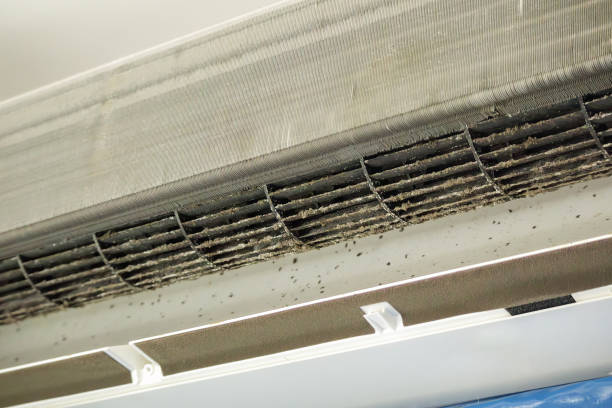 Best Home Air Vent Cleaning  in Troy, TX